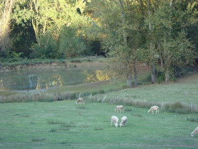 Le lac de petit roc