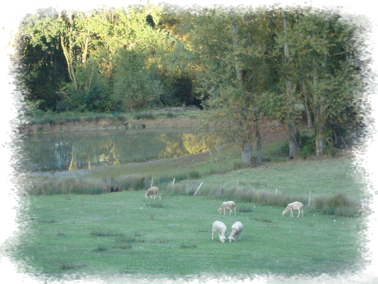 Vue depuis le g&icirc;te