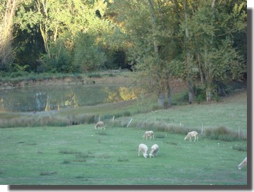 Le lac de petit roc