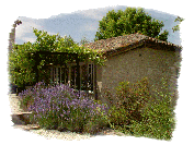maison la vigne