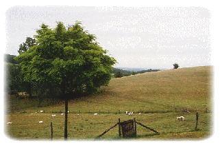 Vue depuis le gîte