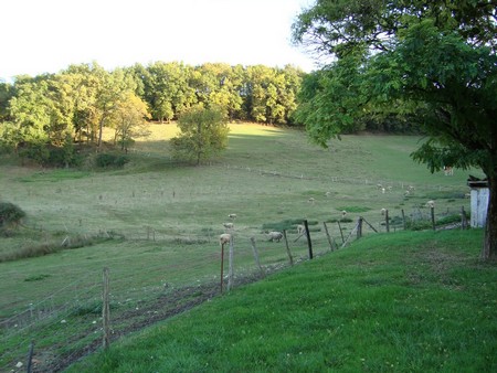 le vallon de petit roc